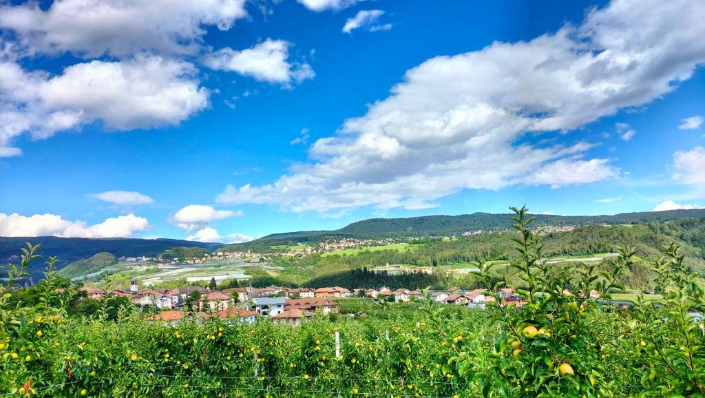 Vista sulla valle dai dintorni della struttura